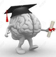 http://previews.123rf.com/images/coramax/coramax1208/coramax120800034/14717465-Brain-with-graduation-cap-and-diploma-3d-render-illustration-Stock-Photo.jpg