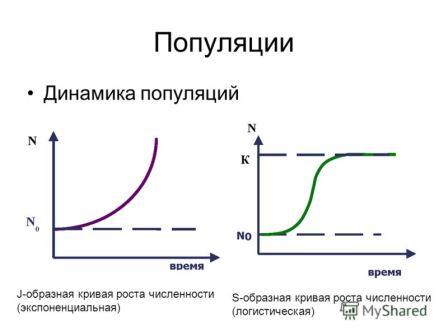 https://xn--j1ahfl.xn--p1ai/data/images/u144886/t1515656035ah.jpg