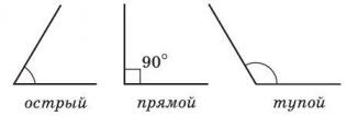 https://matematika-v-pomosch-uchaschimsya.com/gallery/%D0%BE%D1%81%D1%82,%D1%82%D1%83%D0%BF,%D0%BF%D1%80%D1%8F%D0%BC-ts1597430829.jpg
