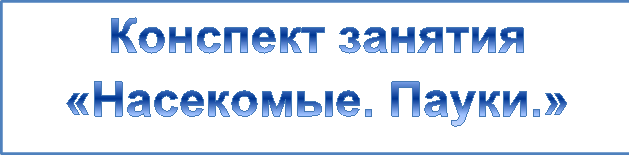 Конспект занятия «Насекомые. Пауки.»