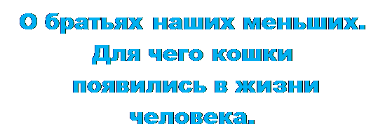 Надпись: О братьях наших меньших. 
Для чего кошки
 появились в жизни человека.
