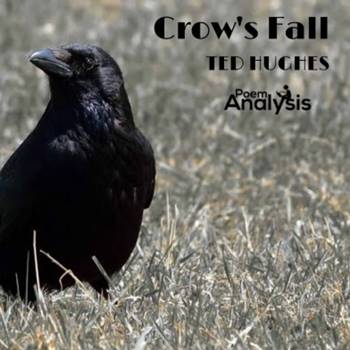 https://poemanalysis.com/wp-content/uploads/2020/07/Crows-Fall-by-Ted-Hughes.jpg