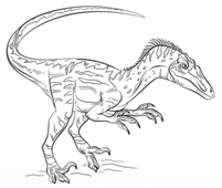 Раскраска Velociraptor - Кликните чтобы открыть версию для печати