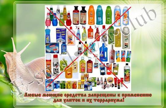 моющие средства.jpg