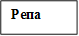 Репа