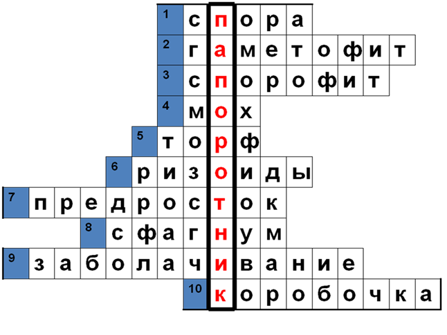 Кроссворд биология папоротники