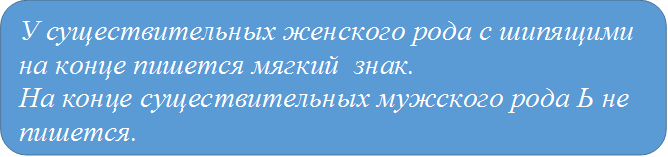 У существительных женского рода с шипящими на конце пишется мягкий  знак. 
На конце существительных мужского рода Ь не пишется.

