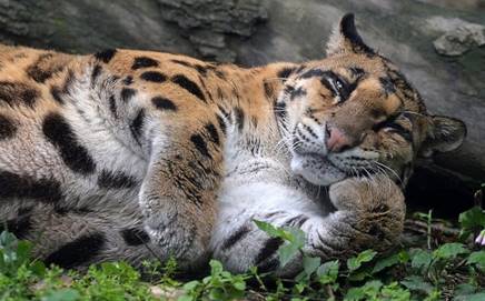 http://cs8.pikabu.ru/post_img/big/2016/04/02/8/1459603830111863118.jpg