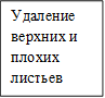 Удаление верхних и плохих листьев