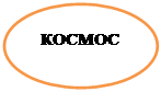 Овал: КОСМОС