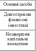 Основні засоби
Довгострокові фінансові інвестиції
Незавершені капітальні вкладення

