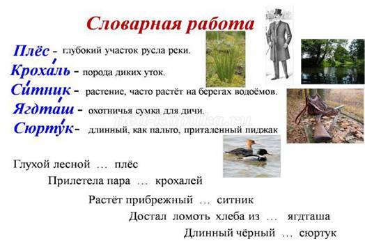 http://ped-kopilka.ru/upload/blogs/13249_2216d5158a6cc1d292b7e52bbba48258.png.jpg