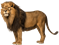 http://pulsar.freeiz.com/Consideraciones/images/lion2.png