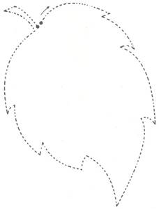 https://st.stranamam.ru/data/cache/2014sep/28/22/13524040_60030.jpg