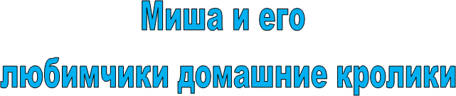 Миша и его 
любимчики домашние кролики
