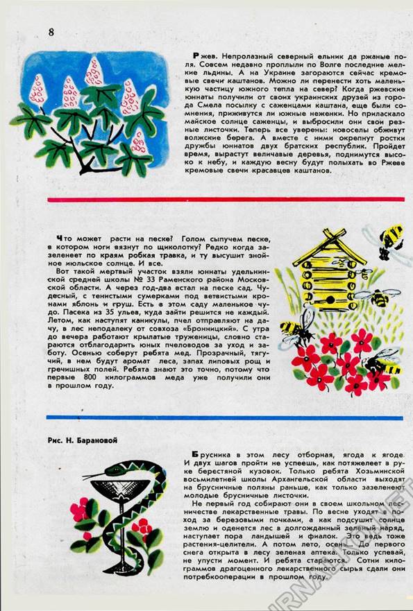Юный Натуралист 1968-05, страница 10