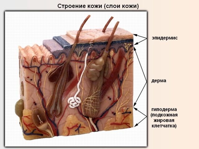 http://www.infoniac.ru/upload/medialibrary/6c4/6c431c7b061b4801e9b50356abc8f762.jpg