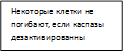 Некоторые клетки не погибают, если каспазы дезактивированны