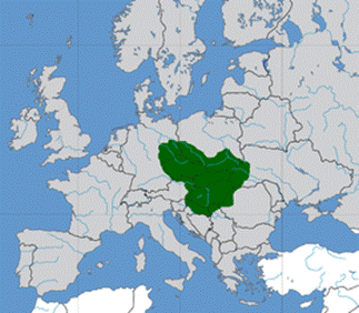 270px-Great_moravia_svatopluk.png