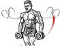 http://gymlex.com/images/stories/Delts/dsdie-laterals1.jpg