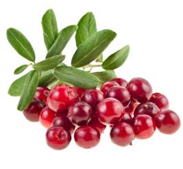 https://www.herbal-care-products.com/blog/wp-content/uploads/2017/06/Cranberry-for-Epididymitis.jpg