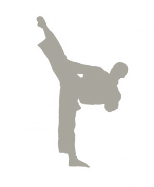 karate.jpg