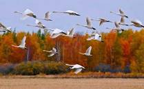 https://avatars.mds.yandex.net/i?id=308dcba1aa9637ebae448efa1c0abaebefd7bdc3-7054188-images-thumbs&n=13