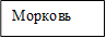 Морковь