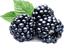 https://w7.pngwing.com/pngs/534/536/png-transparent-white-blackberry-raspberry-amora-blackberry.png