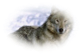 Picture background
