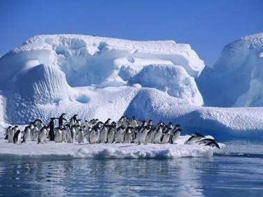 http://xn----8sbiecm6bhdx8i.xn--p1ai/sites/default/files/resize/images/shkolnikam/Antarctica_7-400x300.jpg