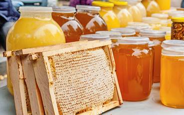 ФОТО: icqinfo.ru