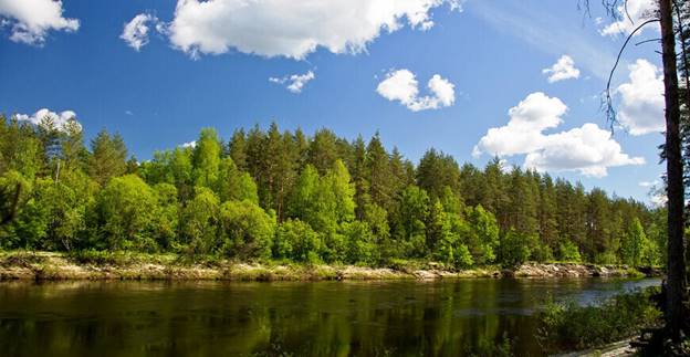 Керженский заповедник