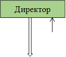 Директор
