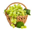 https://st.depositphotos.com/1393581/3030/i/950/depositphotos_30306827-stock-photo-green-grapes-in-a-wicker.jpg