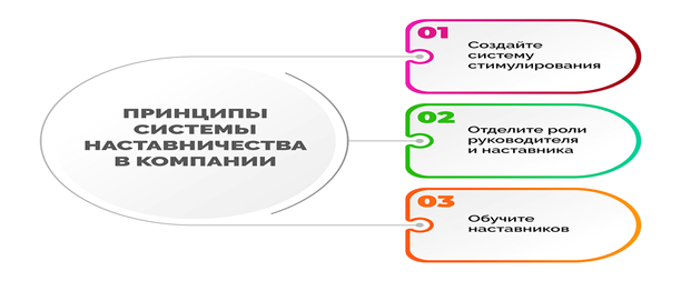 Принципы системы наставничества в компании