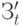З_t'