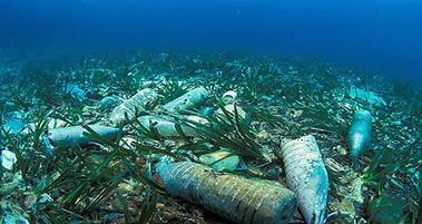 http://www.clubdarwin.net/sites/clubdarwin.net/files/Seabed-pollution.jpg