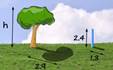 proportion-4.jpg