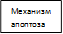 Механизм апоптоза