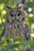 Описание: C:\Documents and Settings\Admin\Мои документы\Downloads\117197-004-785AD006.jpg