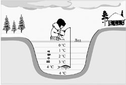 Распределение температуры в зимнем водоеме