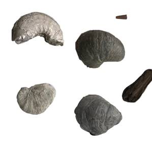 https://sun9-76.userapi.com/impg/ZCEK7L2ftm--5UGUnxKjieOJ2xruPrLrCNOEMQ/OFOl6FQZ6i0.jpg?size=2560x2560&quality=95&sign=841bb78a4c4576494a60c0edfdaab463&type=album