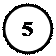 Овал: 5