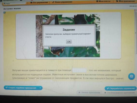 https://pp.userapi.com/c845321/v845321532/115b86/zxDgiRJ6jg4.jpg