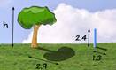 proportion-4.jpg