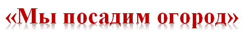 «Мы посадим огород»