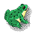 http://0.tqn.com/d/webclipart/1/0/k/v/4/Frog-Happy.png