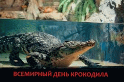https://fsd.videouroki.net/html/2025/04/27/v_680e606f5440d/phpYHXkG3_html_462ed8fe2a61aa42.gif