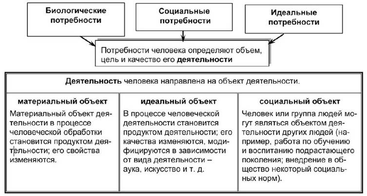 Структура протекания деятельности